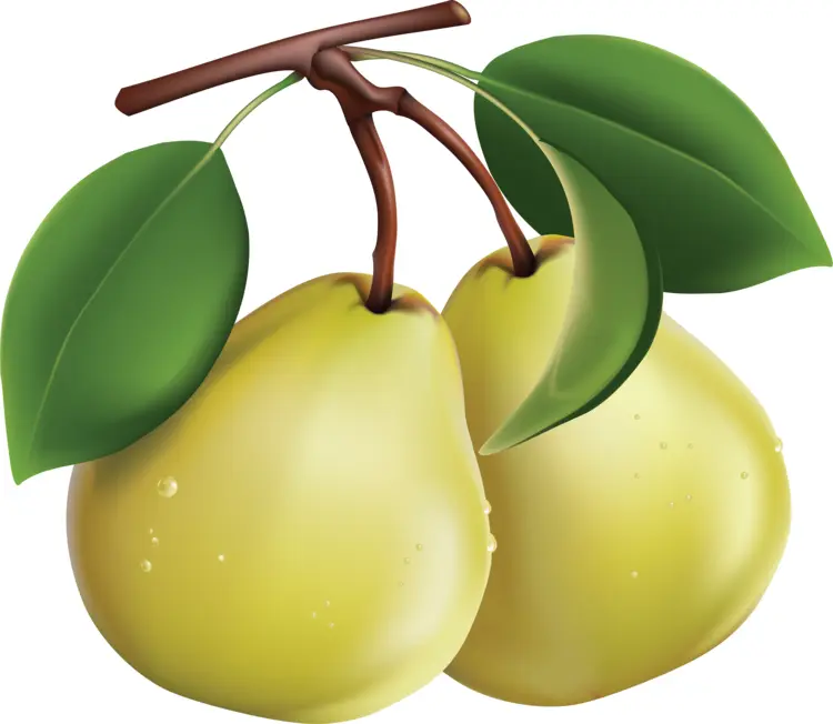 Two Pears with Leaves
