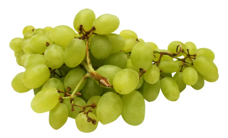 Cluster of Green Grapes