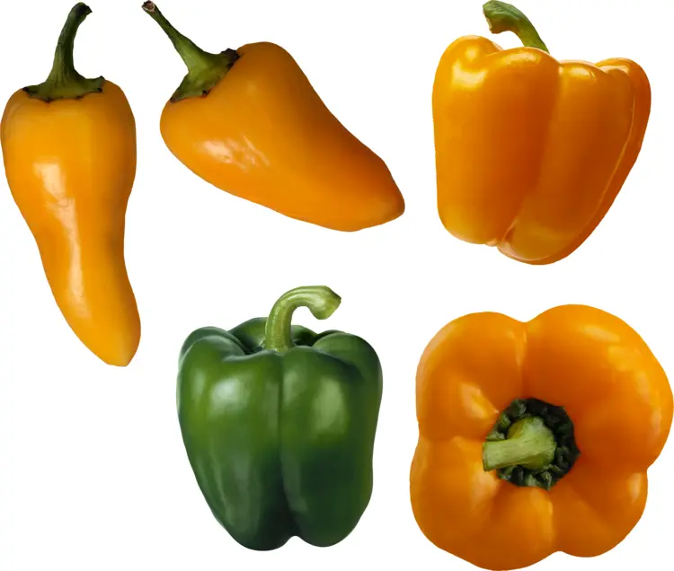 Variety of Bell Peppers