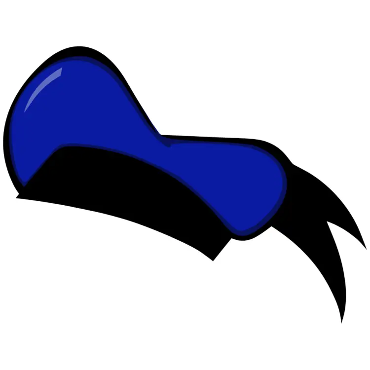 Donald Duck's Blue Sailor Hat