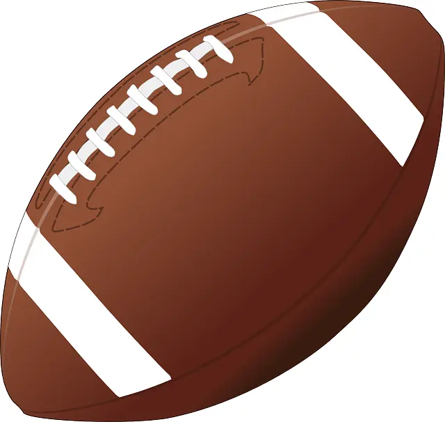 Brown Football Illustration