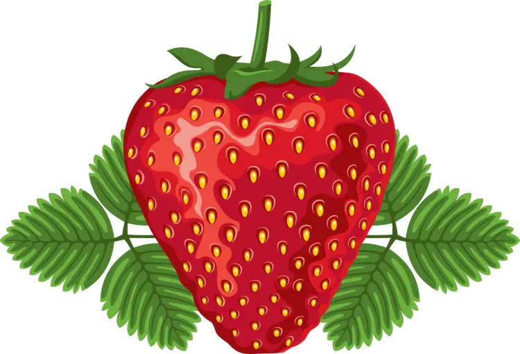 Single Red Strawberry with Leaves