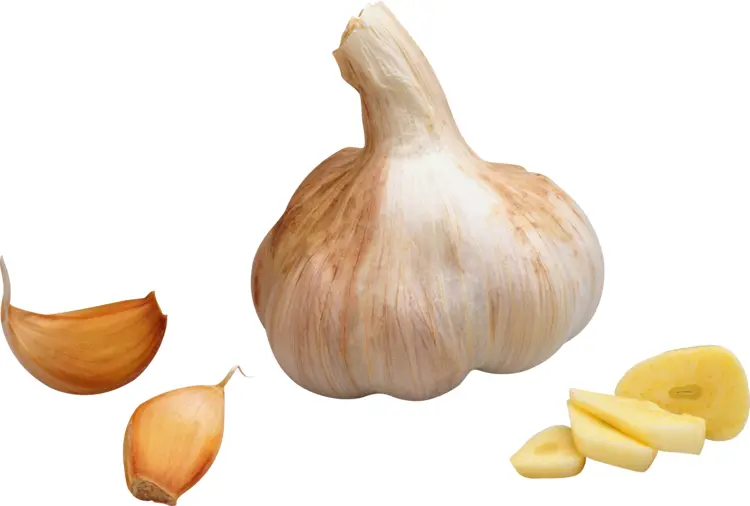 Garlic Bulb with Cloves and Slices