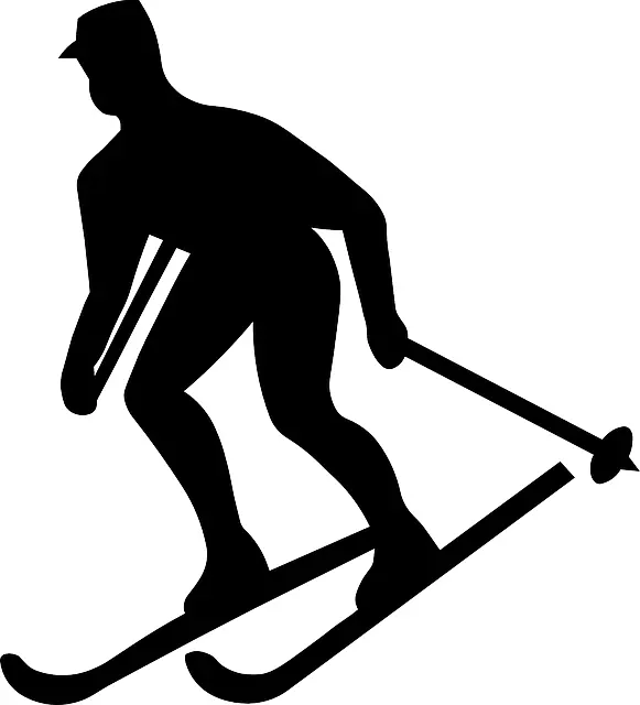 Silhouette of a Skier
