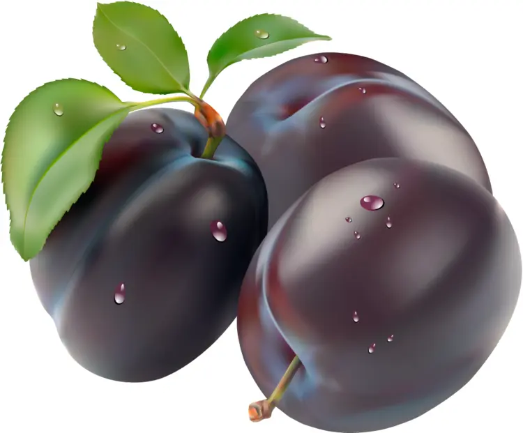 Dark Plums with Leaves