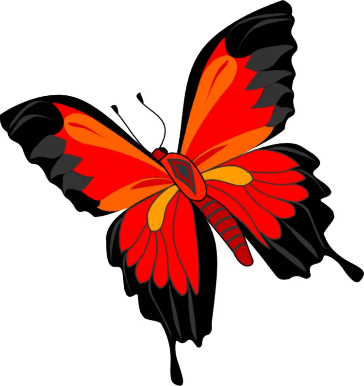 Red and Black Butterfly Cartoon Illustration