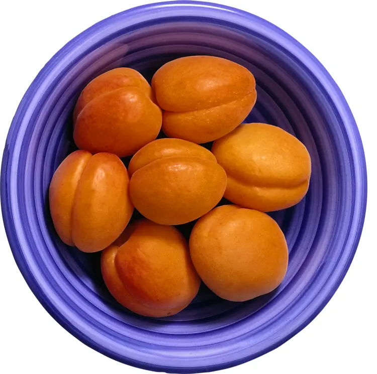 Fresh Apricots in a Blue Bowl