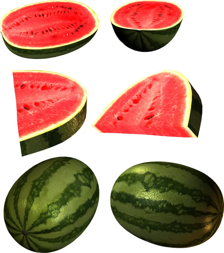 Various Cuts of Green and Red Watermelon