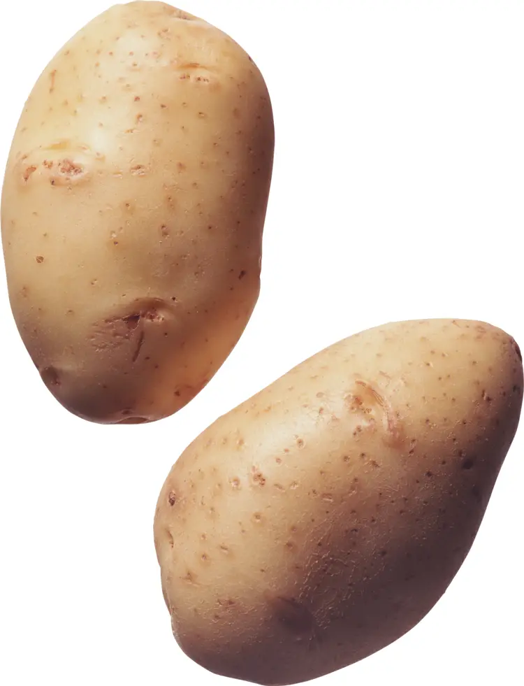 Two Yellow Potatoes