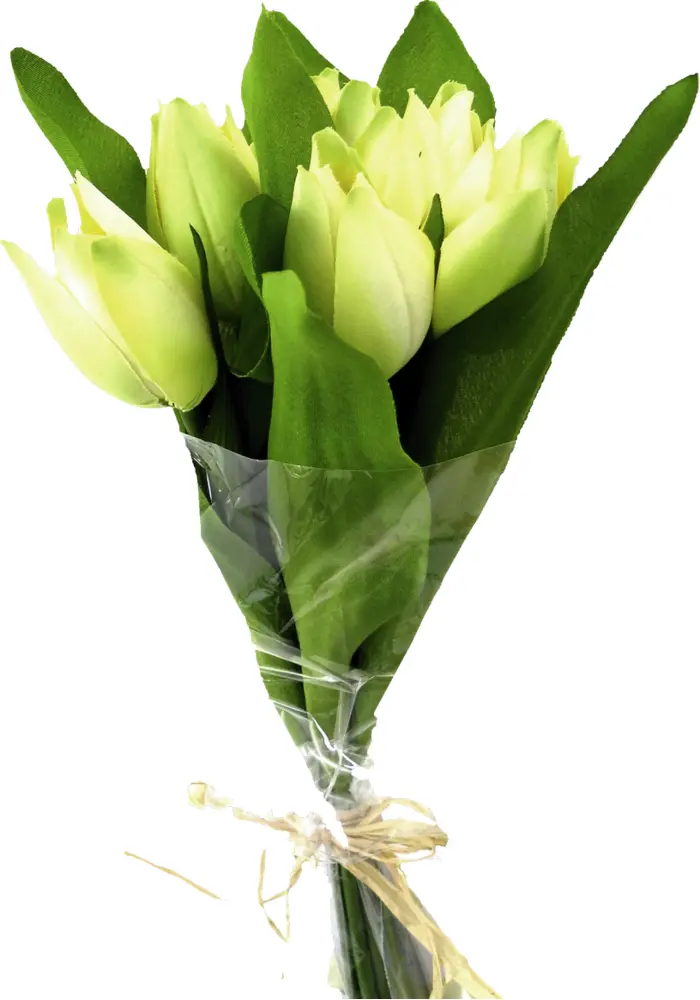 Elegant White Tulip Bouquet