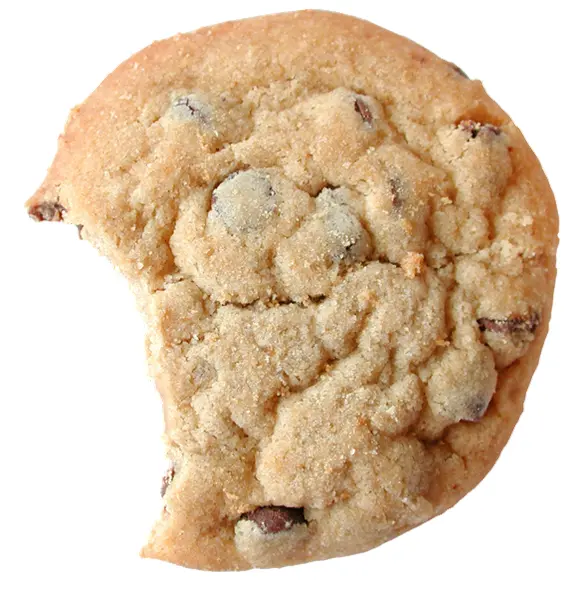Bitten Chocolate Chip Cookie