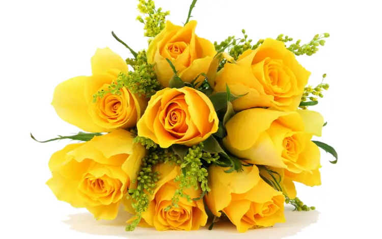 Bouquet of Yellow Roses