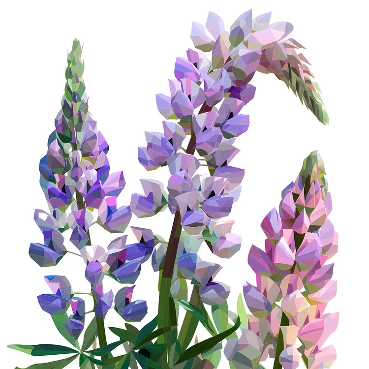Blooming Purple Flowers with Green Leaves