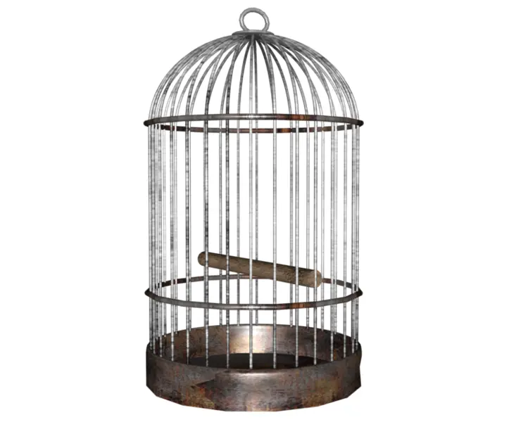 Rustic Birdcage with Perch