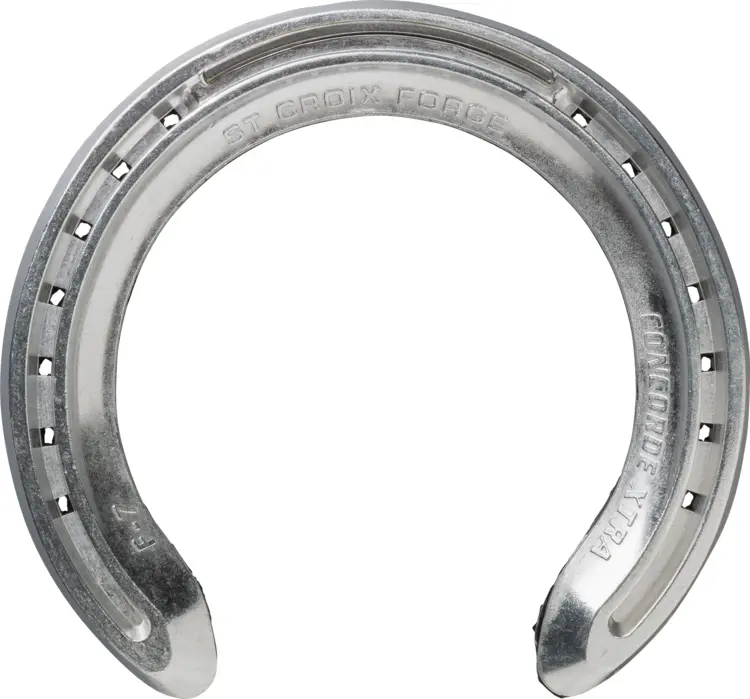 Metal Horseshoe for Horse Protection