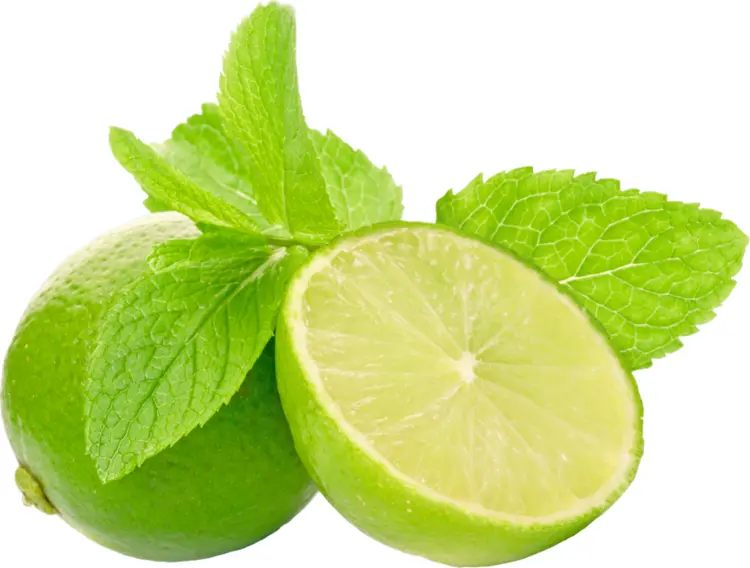 Fresh Green Lime with Leaves