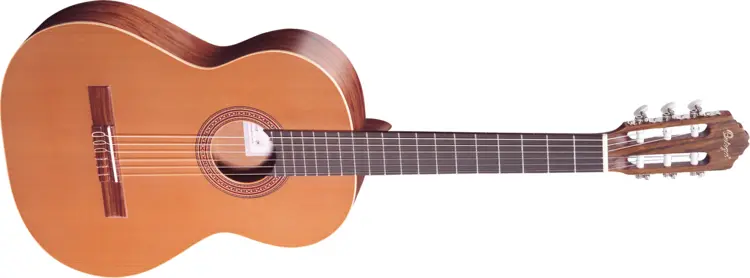 Classical Acoustic Guitar