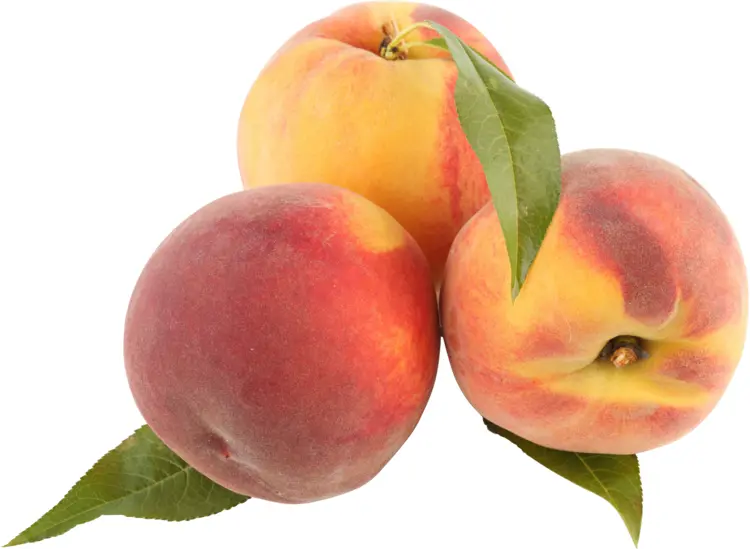 Fresh Peaches with Leaves
