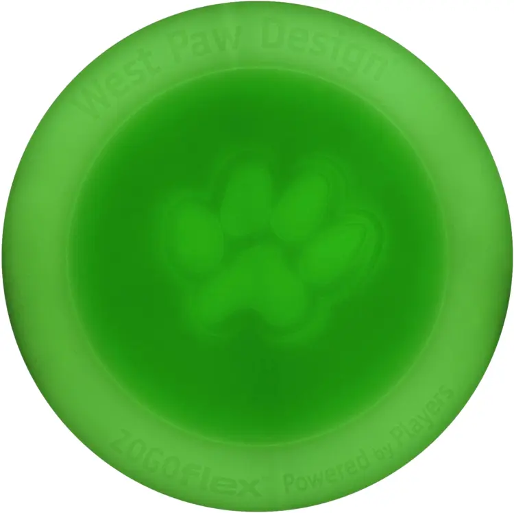 Green Frisbee for Outdoor Fun