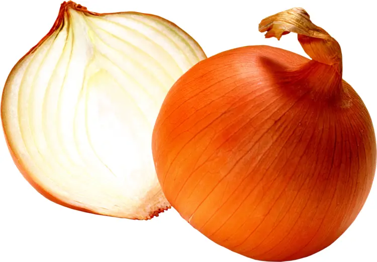 Yellow Onion Bulb and Cut Half