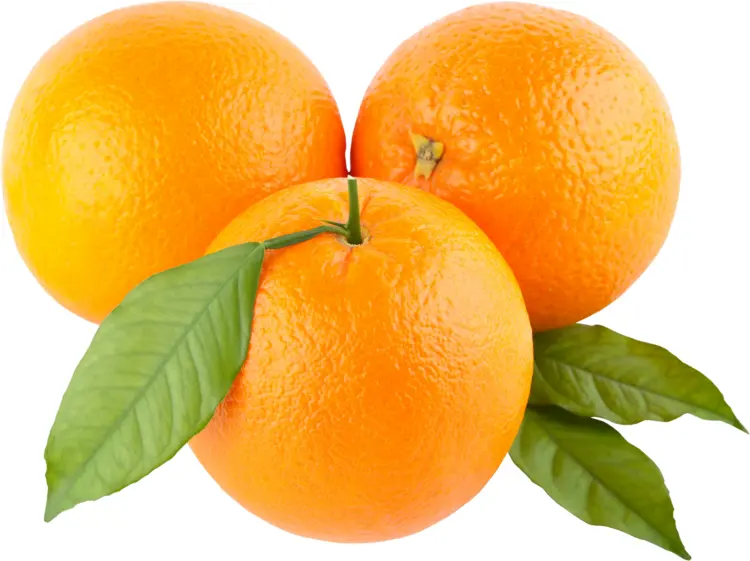 Fresh Citrus Oranges