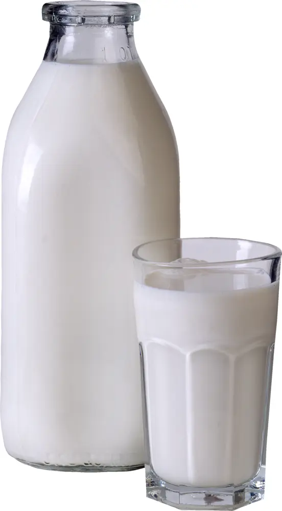 Milk Bottle and Glass of Fresh Milk