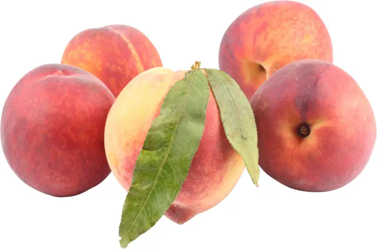Group of Peaches Fruit