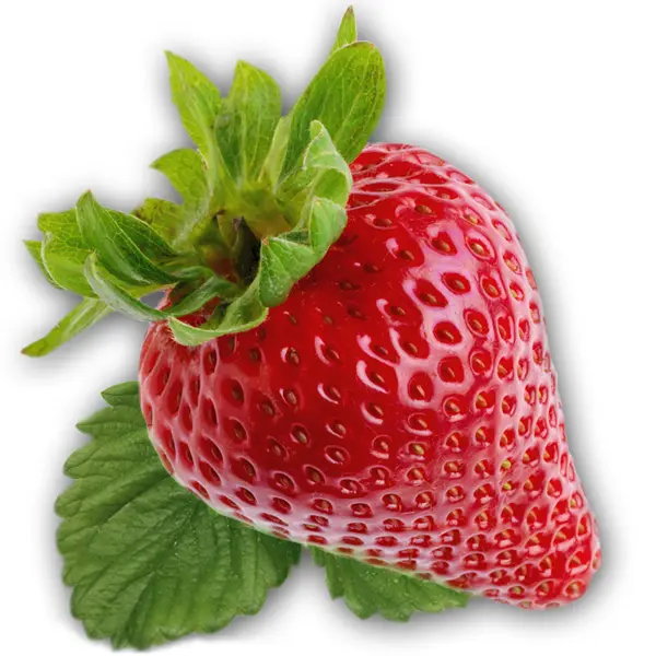 Leafy Red Strawberry