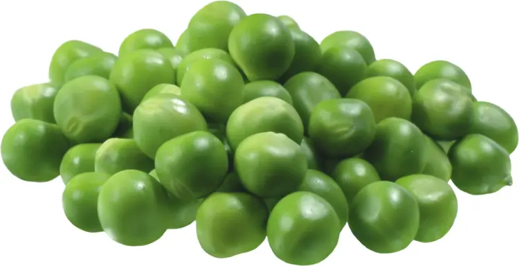 Fresh Green Peas