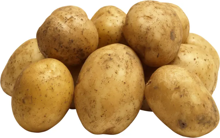 Group of Brown Potatoes