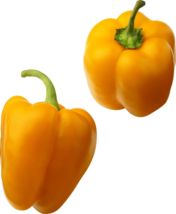 Pair of Yellow Bell Peppers