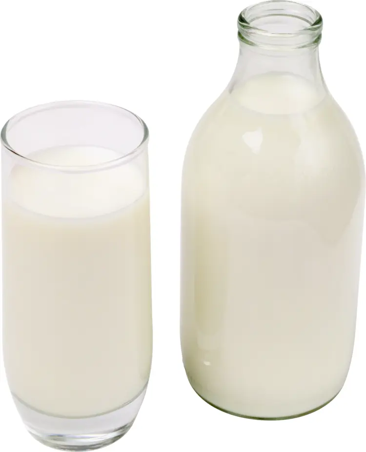 Milk Bottle and Glass of Fresh Milk