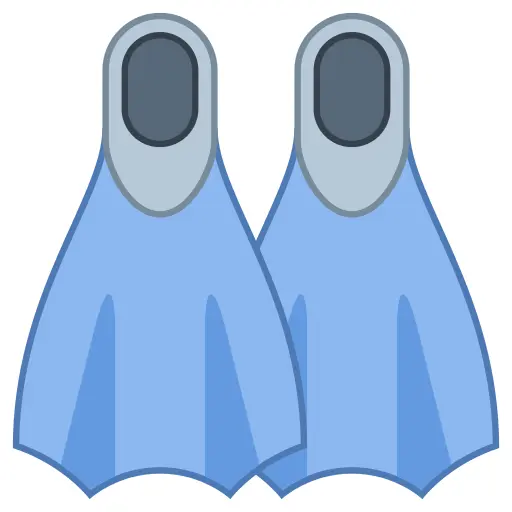 Blue Flippers for Swimming