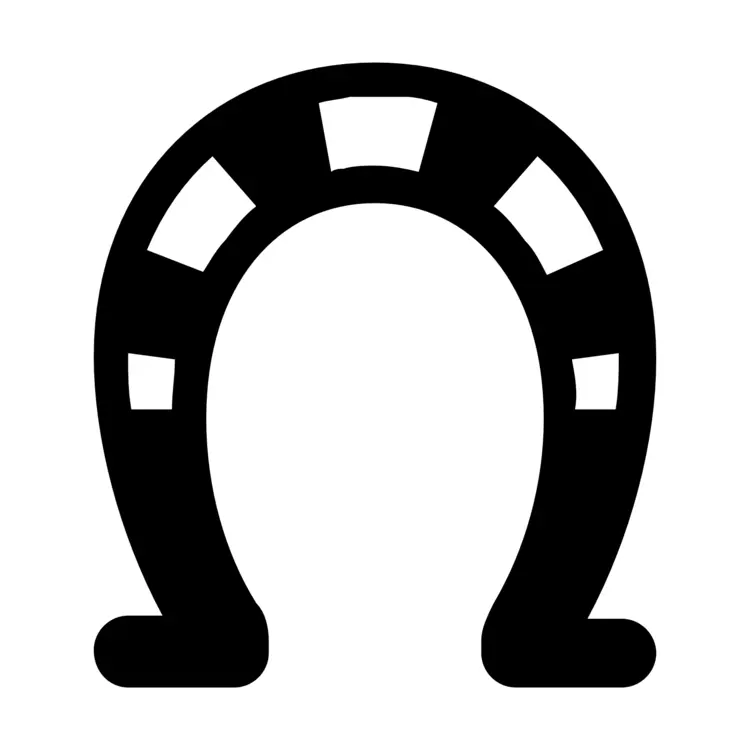 Black Horseshoe Symbol of Luck