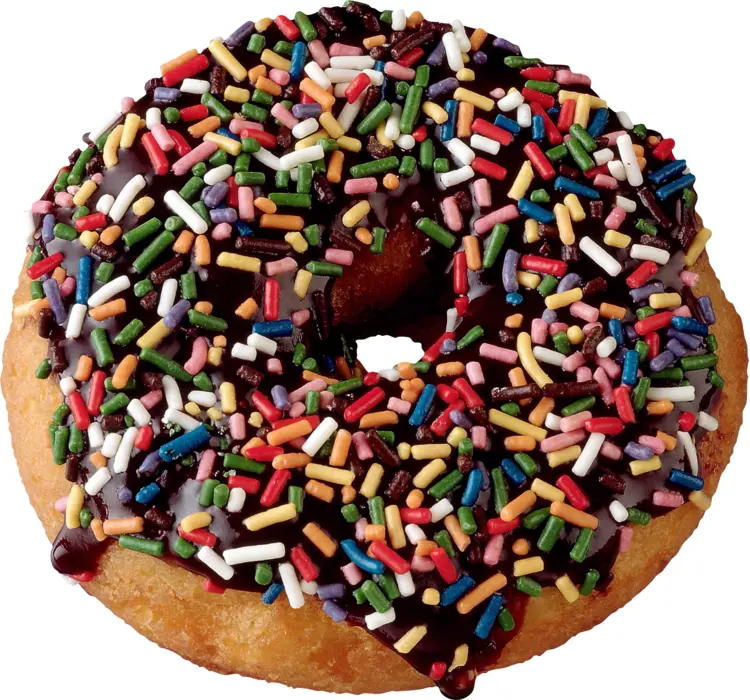 Chocolate Donut with Colorful Sprinkles