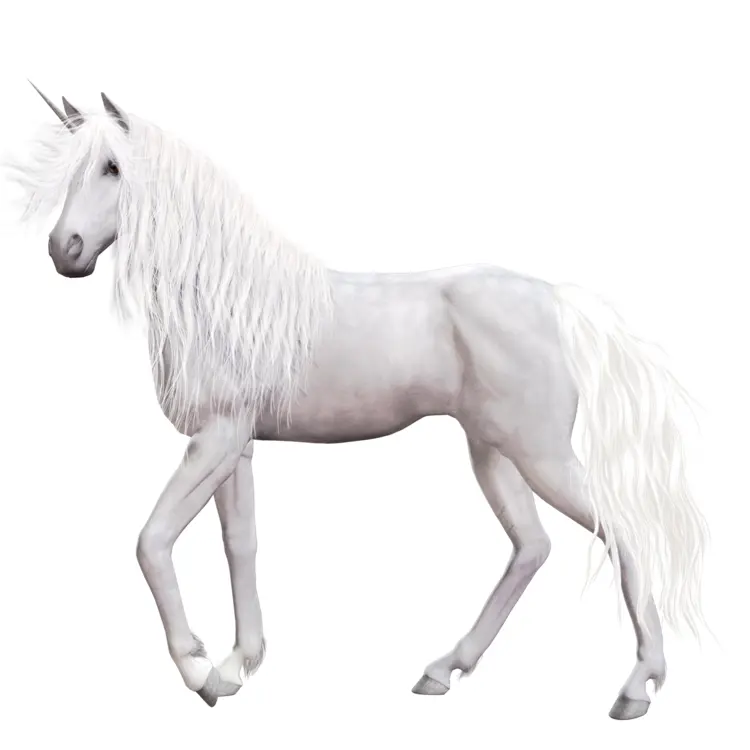 White Unicorn in Fantasy World