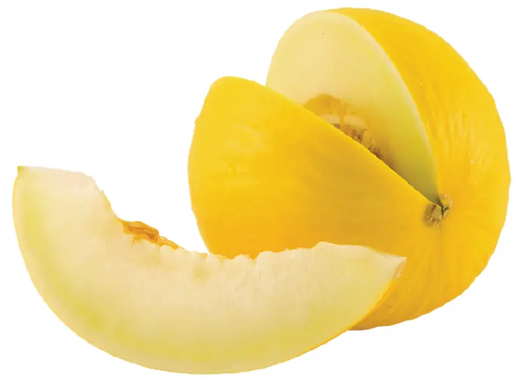 Yellow Melon Slice and Whole