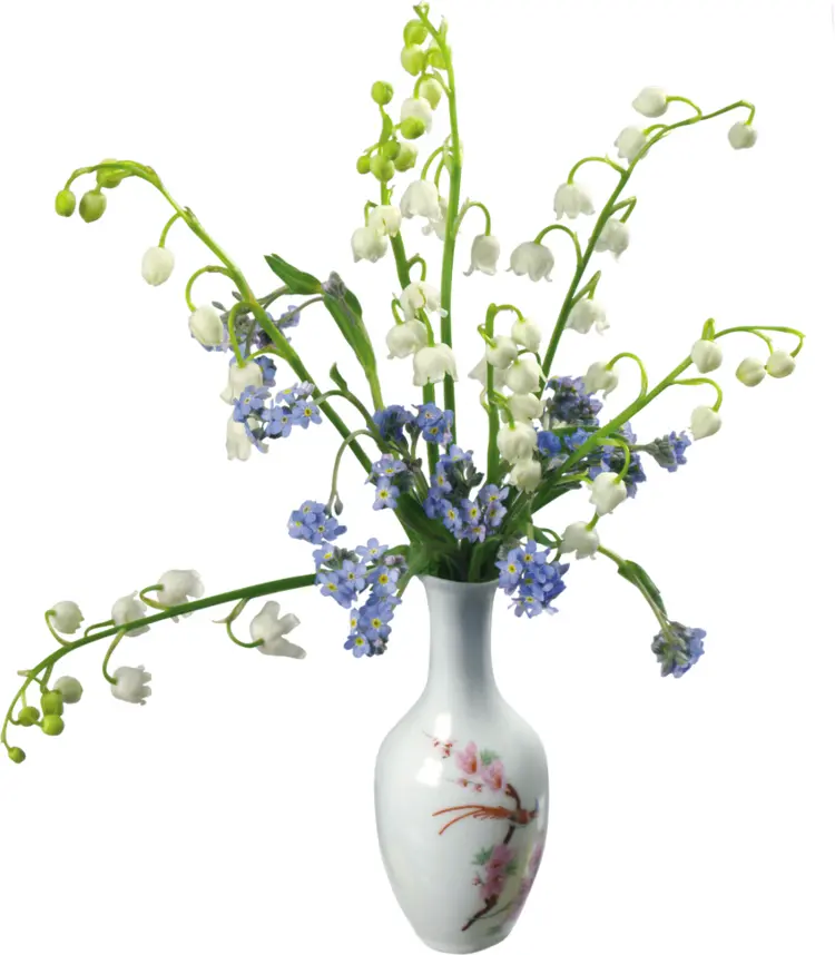 Charming Flower Vase with Fresh Blooms