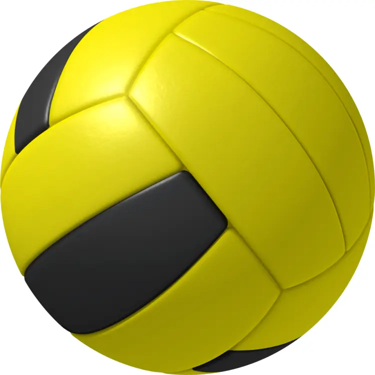 Yellow and Black Volleyball