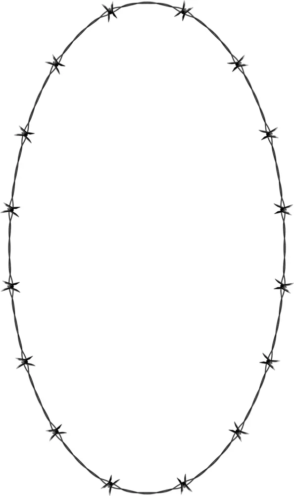 Oval Barbed Wire Frame