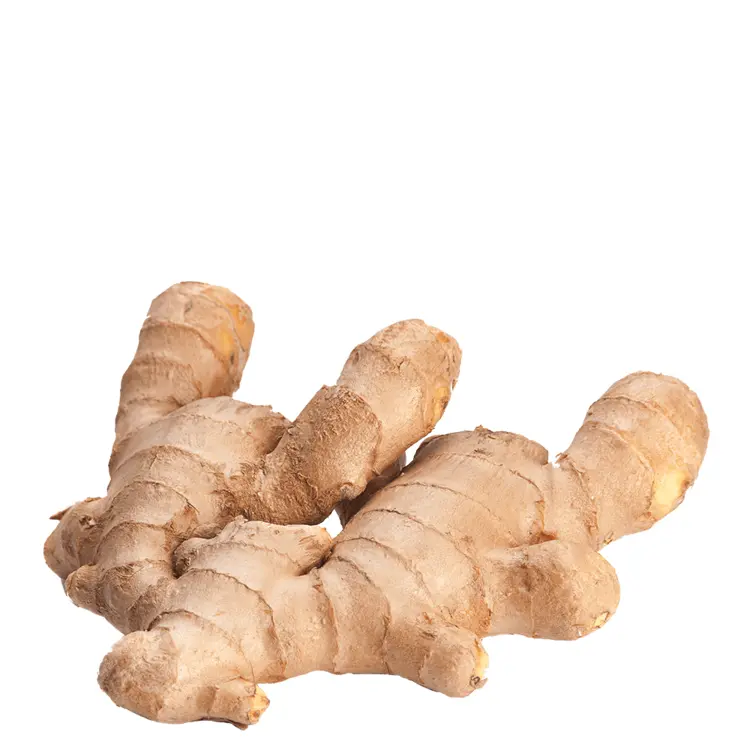 Whole Ginger Root