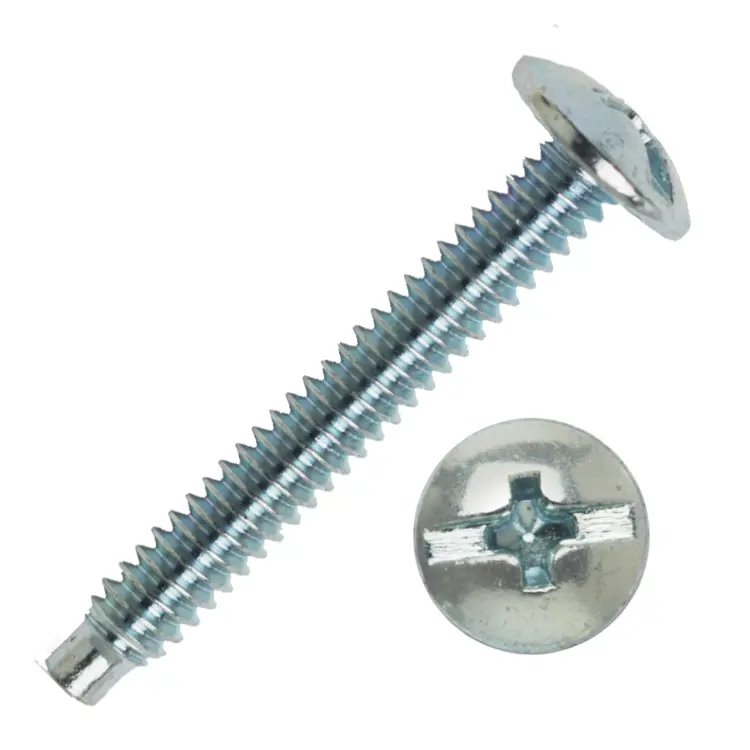 Silver Screw with Pan Head