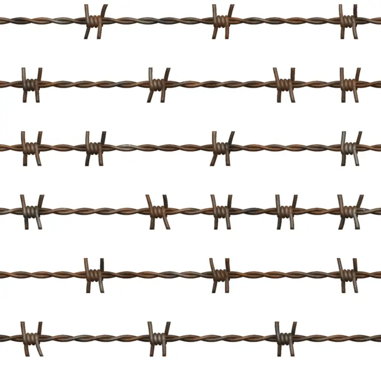 Rusty Barbed Wire Lines