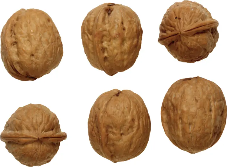 Whole Unshelled Walnuts