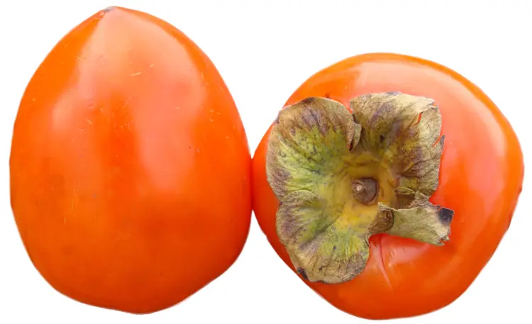 Whole Orange Persimmon