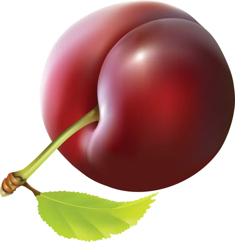 Juicy Red Plum with Leaf