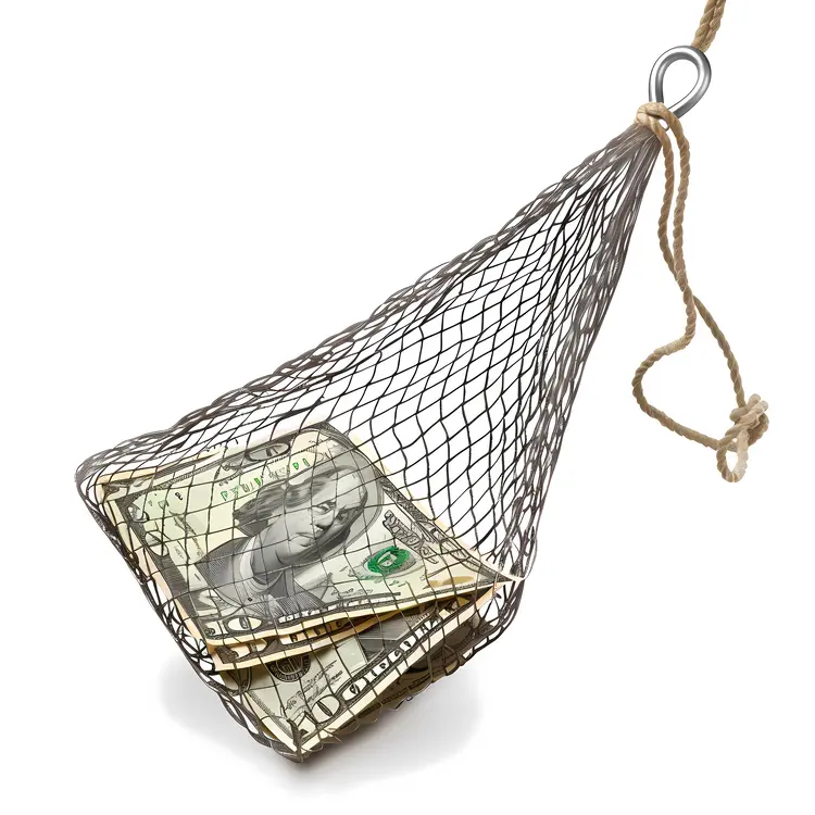 Money in Net Catch