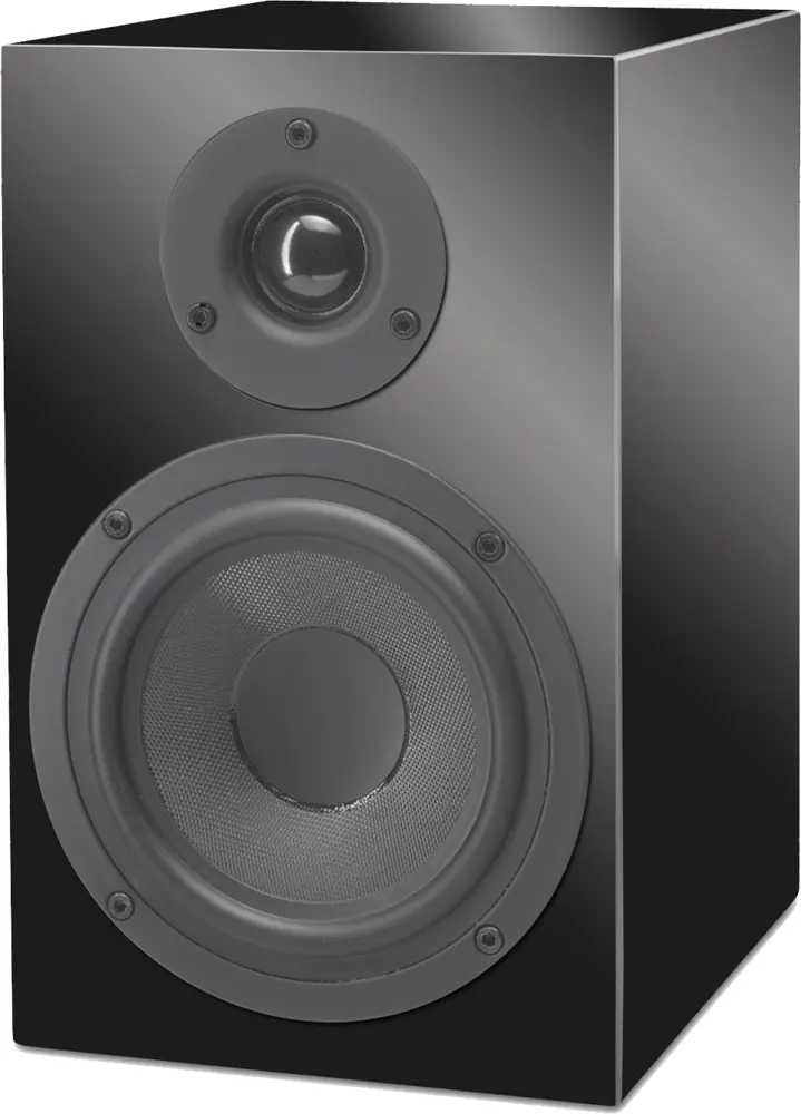 Black Speaker with Two Drivers