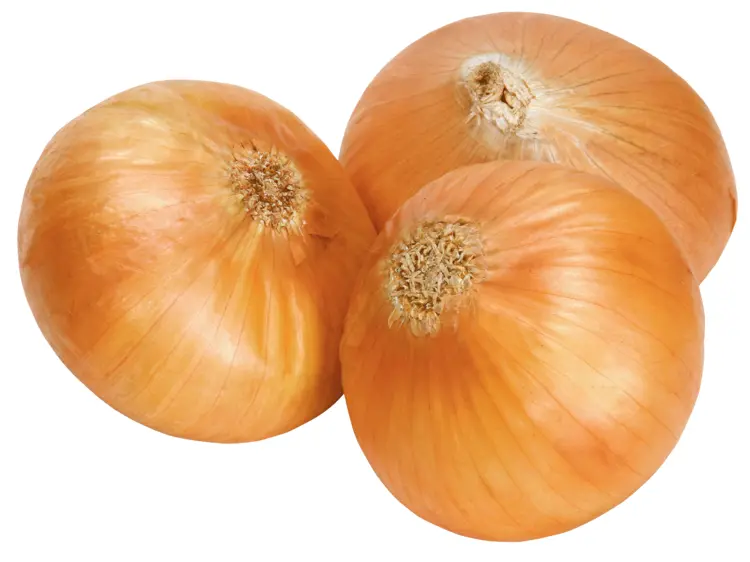 Fresh Yellow Onions