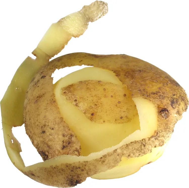 Partially Peeled Potato